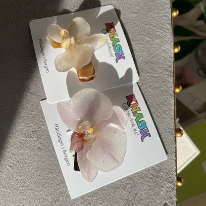 ORKIDÉ hårspenne - ekte tørket blomst - Hårpynt KNASK
