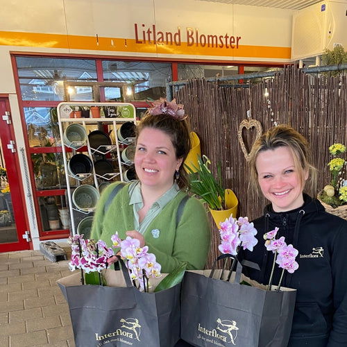 Osterøy POP-UP - KNASK