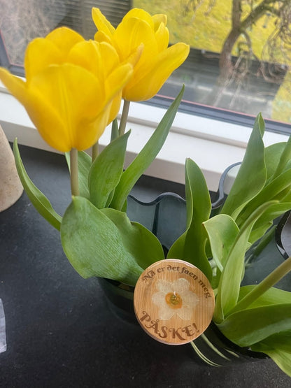 PÅSKE flaskeåpner - ekte tørket blomst - Interiør KNASK