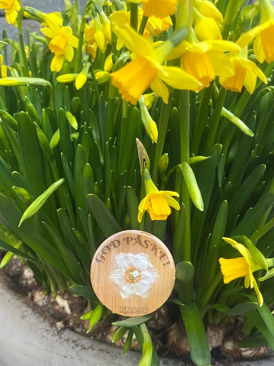 PÅSKE flaskeåpner - ekte tørket blomst - Interiør KNASK