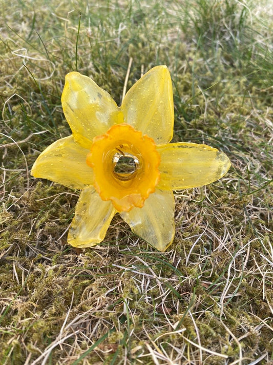 PÅSKELILJE hårnål av ekte tørket blomst - Hårpynt KNASK