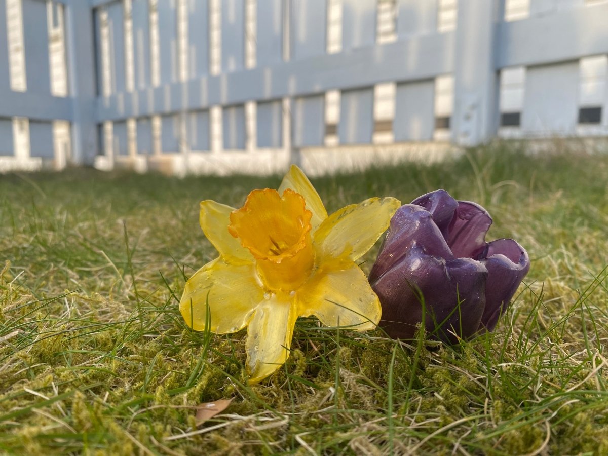 PÅSKELILJE hårnål av ekte tørket blomst - Hårpynt KNASK