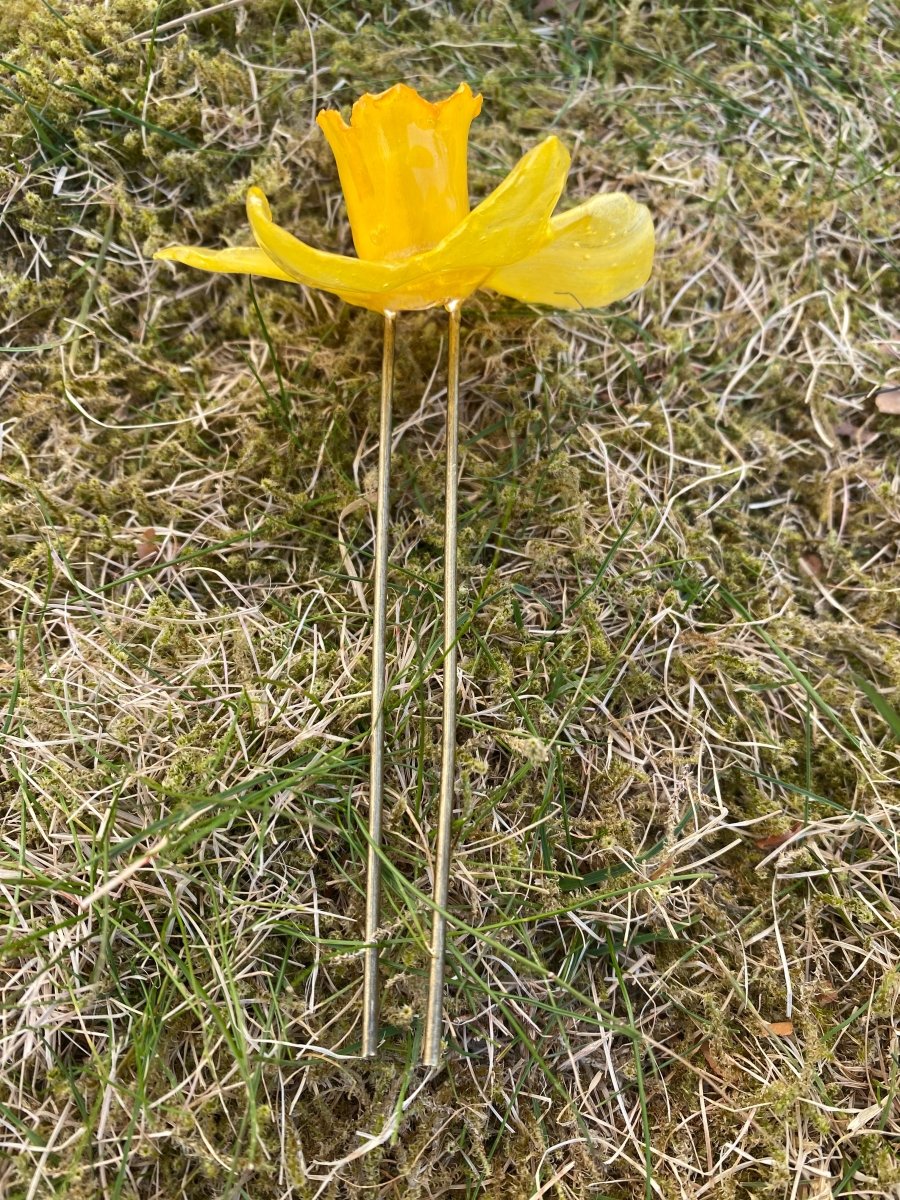 PÅSKELILJE hårnål av ekte tørket blomst - Hårpynt KNASK
