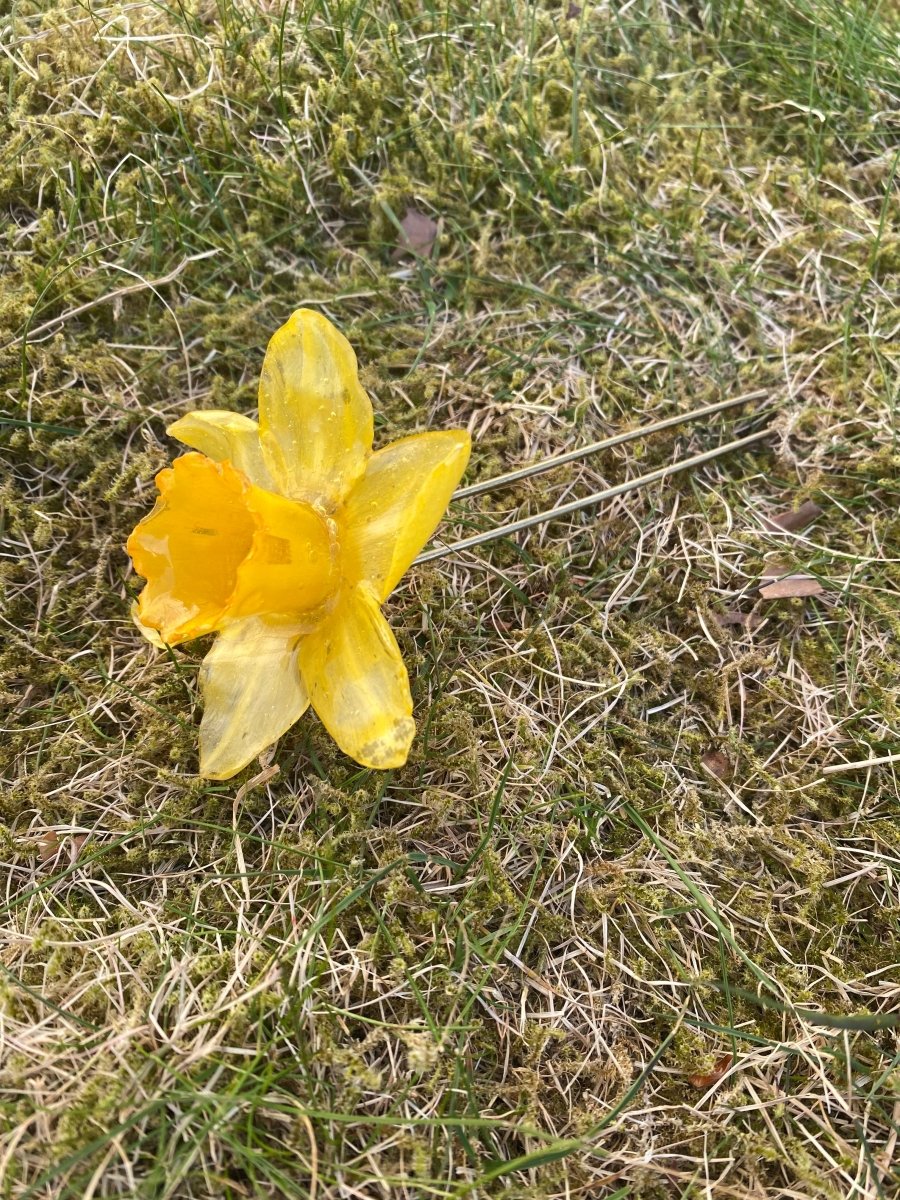 PÅSKELILJE hårnål av ekte tørket blomst - Hårpynt KNASK