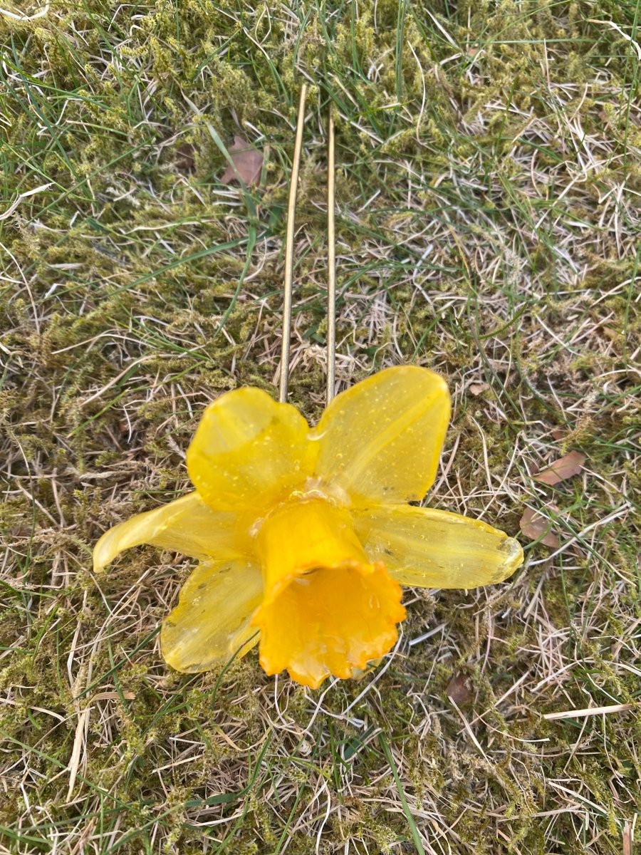PÅSKELILJE hårnål av ekte tørket blomst - Hårpynt KNASK
