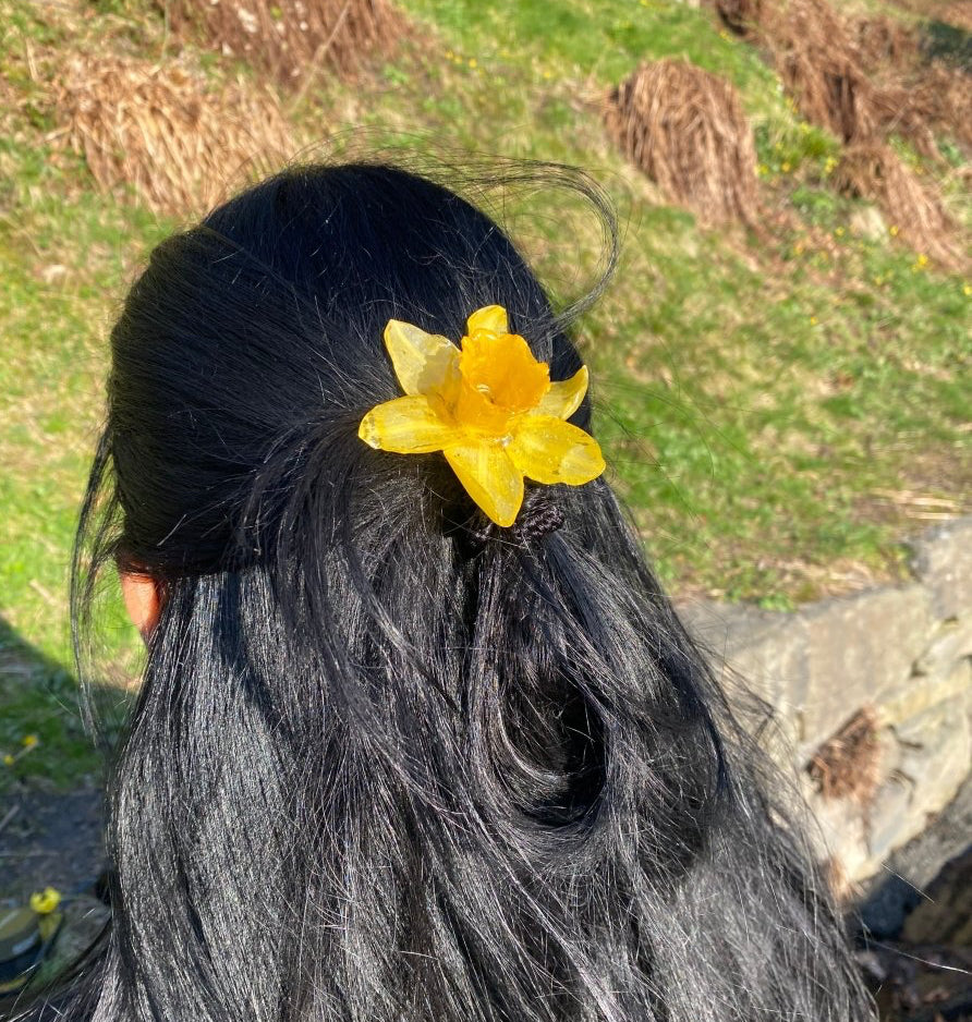 PÅSKELILJE hårnål av ekte tørket blomst - KNASK