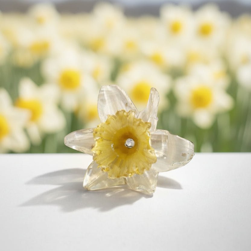 PINSELILJE hårpynt - ekte tørket blomst, hårnål eller hårspenne - Hårpynt KNASK