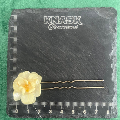PINSELILJE hårpynt - ekte tørket blomst, hårnål eller hårspenne - Hårpynt KNASK
