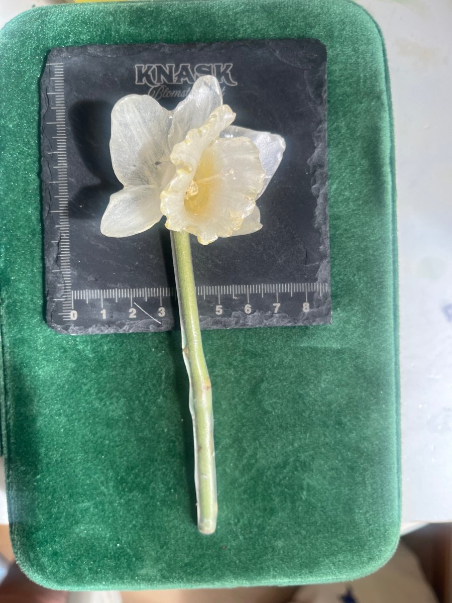 PINSELILJE hårpynt - ekte tørket blomst, hårnål eller hårspenne - Hårpynt KNASK