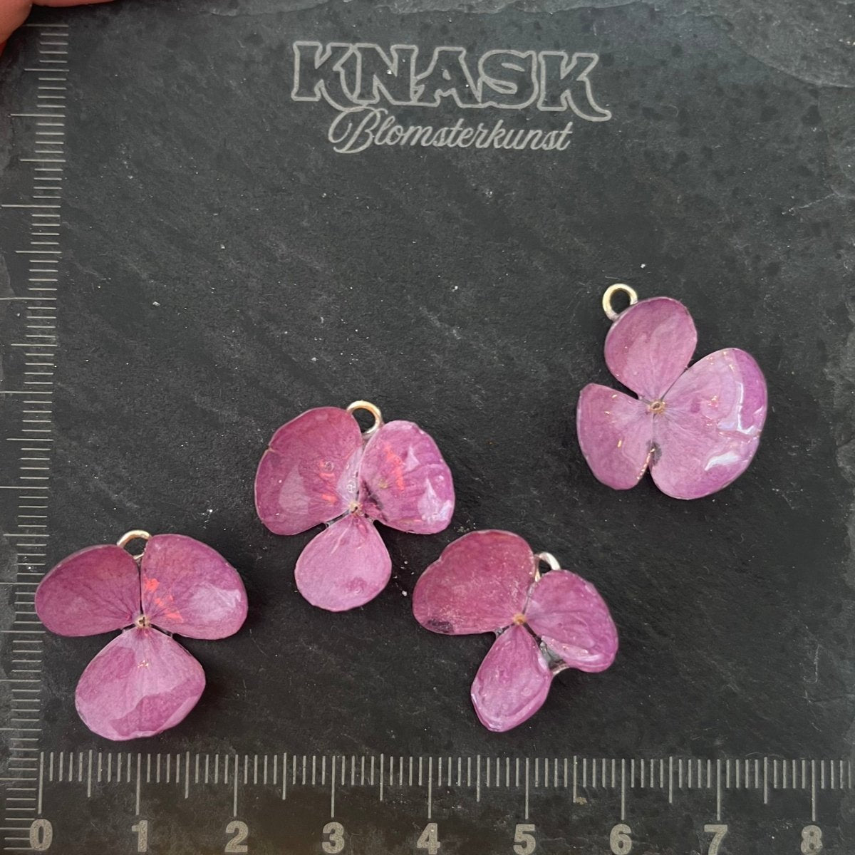 ROSA HORTENSIA øredobber - ekte tørkede blomster, sølv - Øredobber KNASK