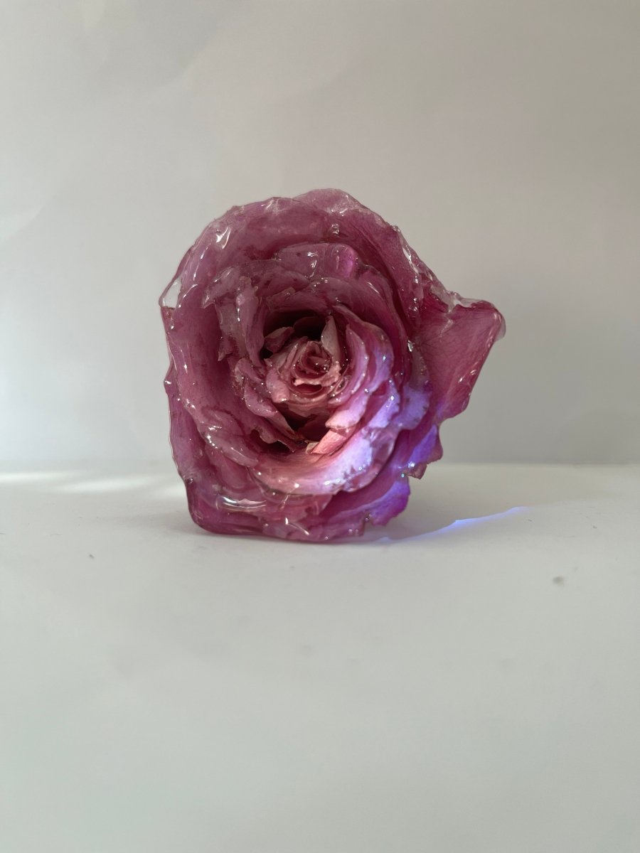 ROSA ROSE 3D vinstopper, ekte tørket blomst - Interiør KNASK