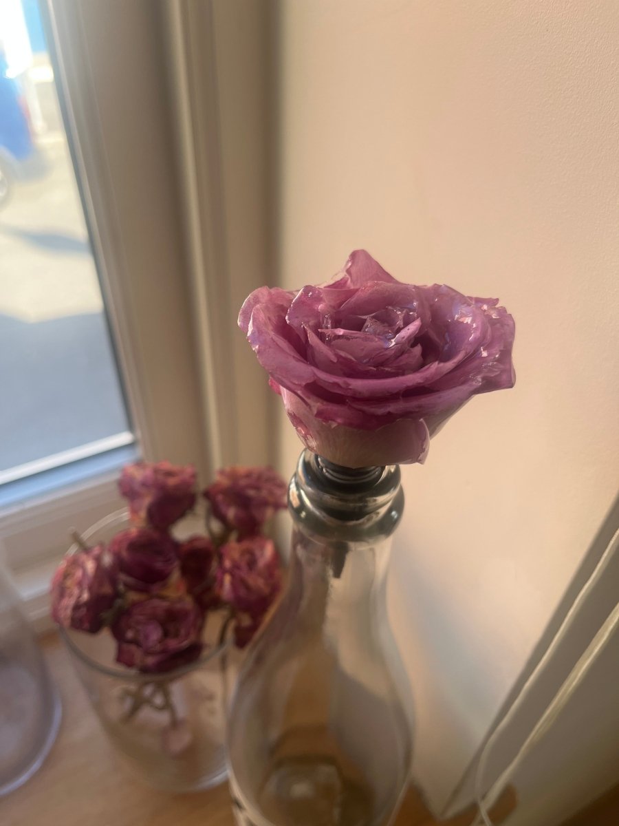 ROSA ROSE 3D vinstopper, ekte tørket blomst - Interiør KNASK