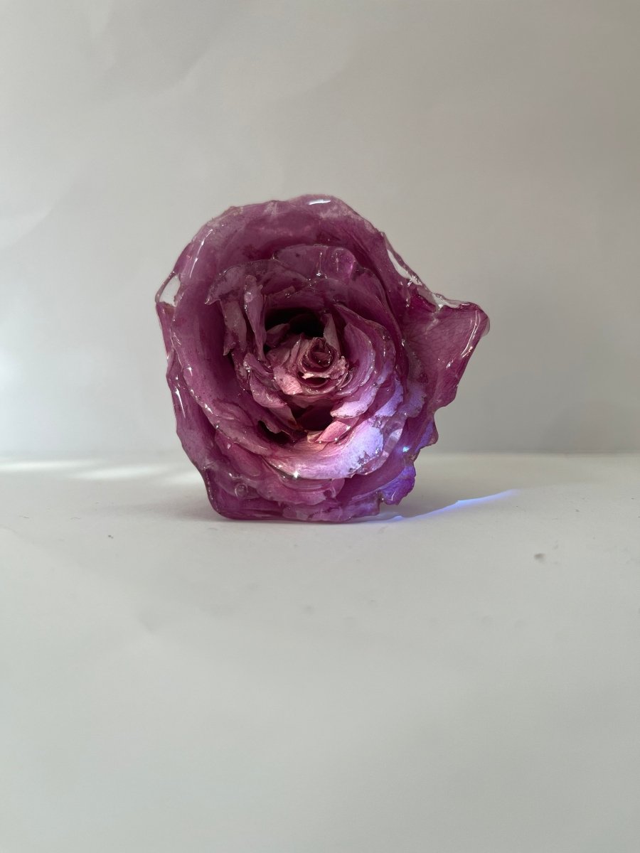 ROSA ROSE 3D vinstopper, ekte tørket blomst - Interiør KNASK