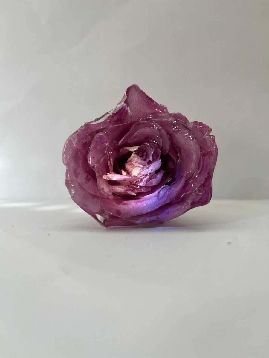 ROSA ROSE 3D vinstopper, ekte tørket blomst - Interiør KNASK