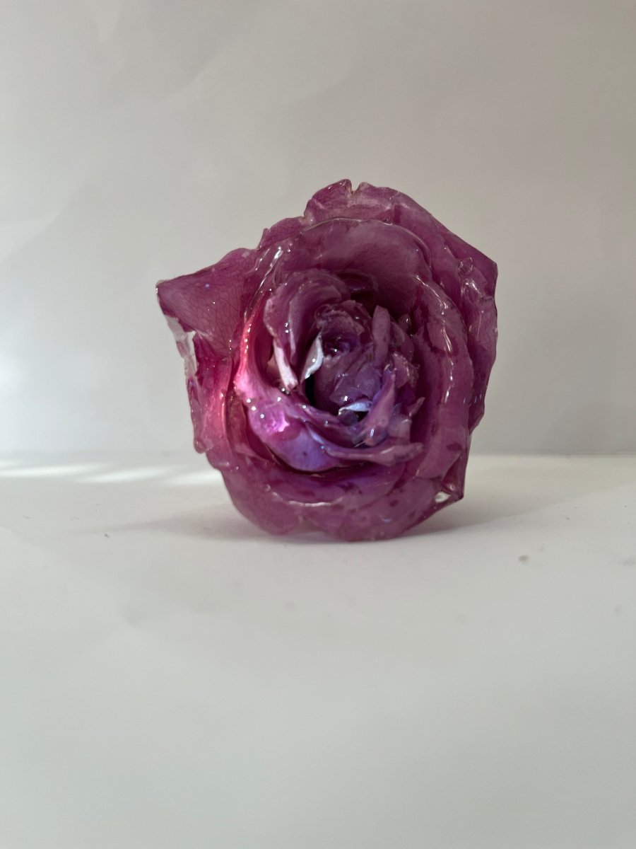 ROSA ROSE 3D vinstopper, ekte tørket blomst - Interiør KNASK