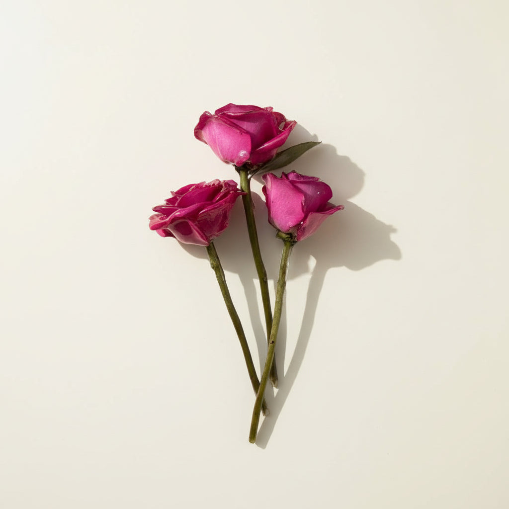 ROSA ROSE hårnål av ekte tørket blomst - Hårpynt KNASK