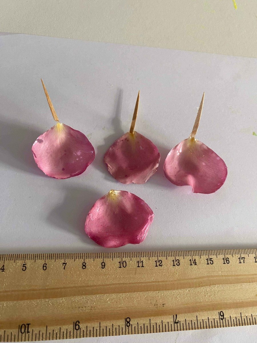 Rosa roseblad øredobber, 925 sølv ørekroker - KNASK