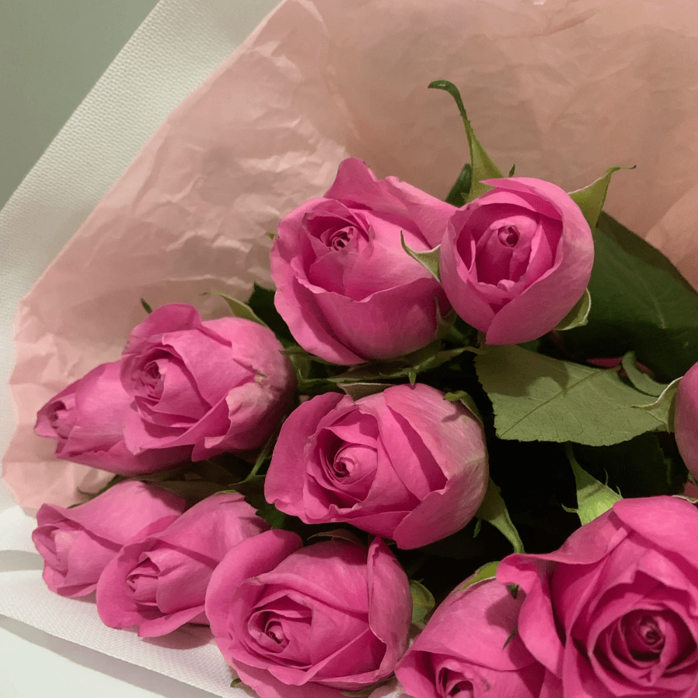 ROSA ROSEBLADER øredobber, 3D, ekte tørkede blomster, 925 sølv - Øredobber KNASK