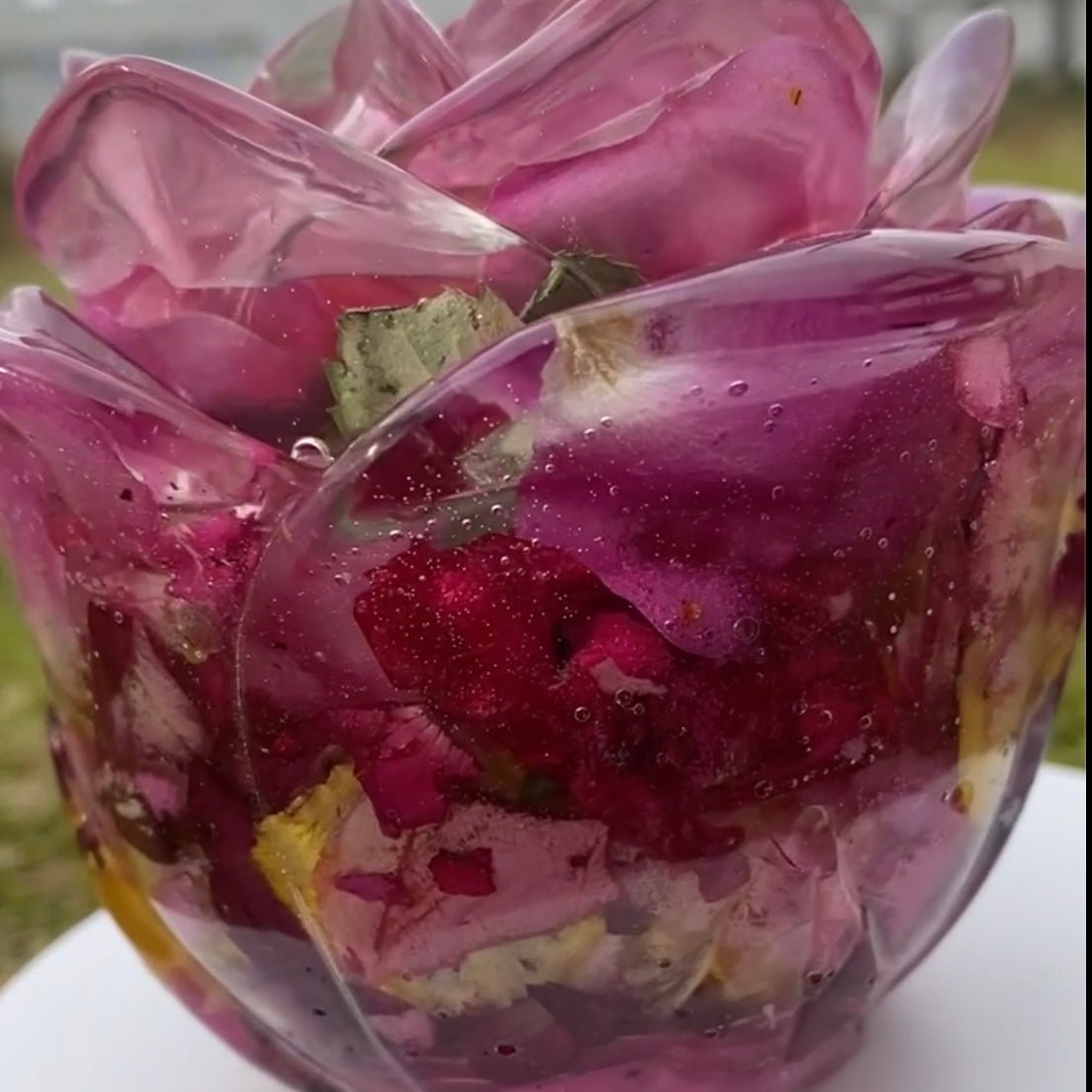 Rose - symfoni krukke med lokk, tørkede roser - KNASK