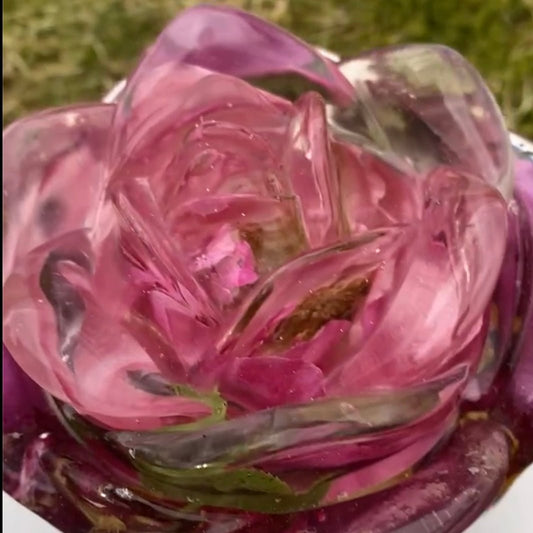 Rose - symfoni krukke med lokk, tørkede roser - KNASK
