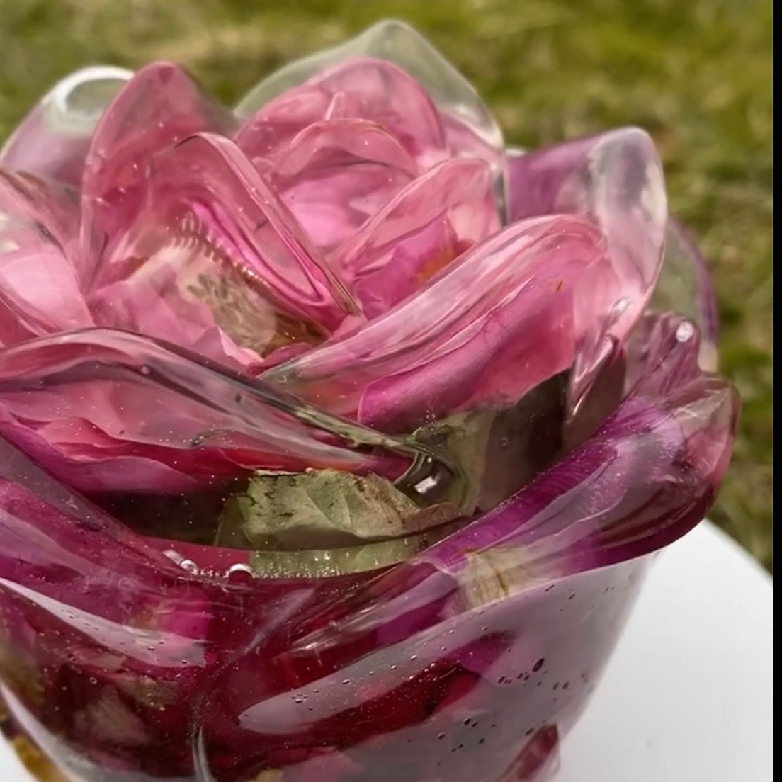 Rose - symfoni krukke med lokk, tørkede roser - KNASK
