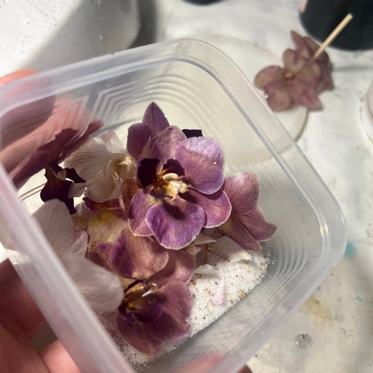 RUSTROSA ORKIDÉ øredobber - ekte tørkede blomster, sølv - Øredobber KNASK