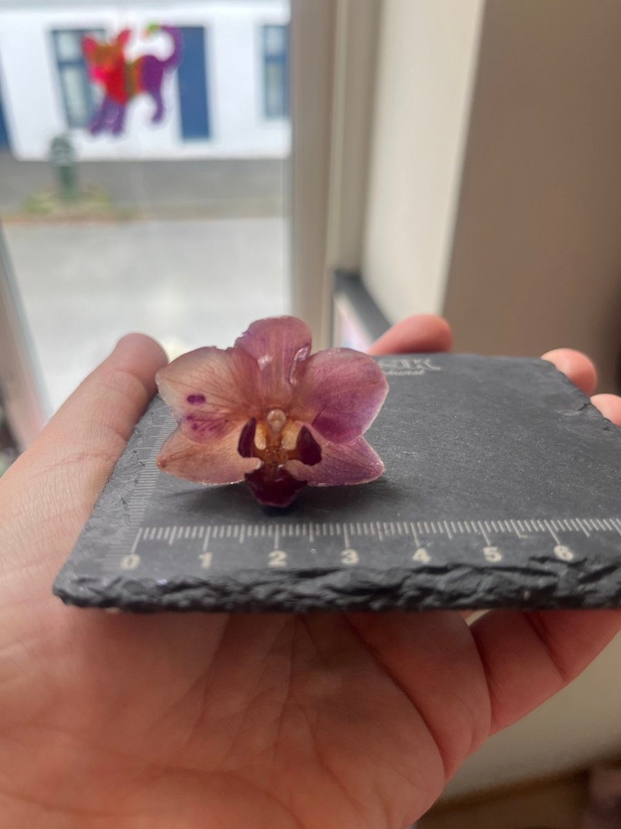 RUSTROSA ORKIDÉ smykke - ekte tørket blomst - Smykke KNASK