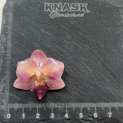 RUSTROSA ORKIDÉ smykke - ekte tørket blomst - Smykke KNASK