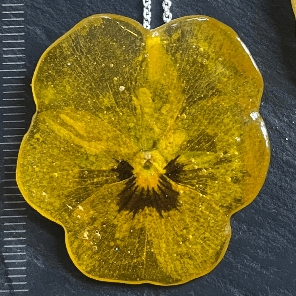 SAFTIG FIOL smykke - ekte tørket blomst - Smykke KNASK