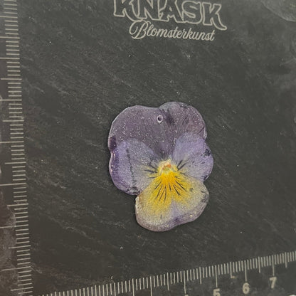 SAFTIG FIOL smykke - ekte tørket blomst - Smykke KNASK