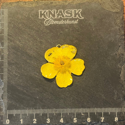 SMØRBLOMST smykke - ekte tørket blomst - Smykke KNASK