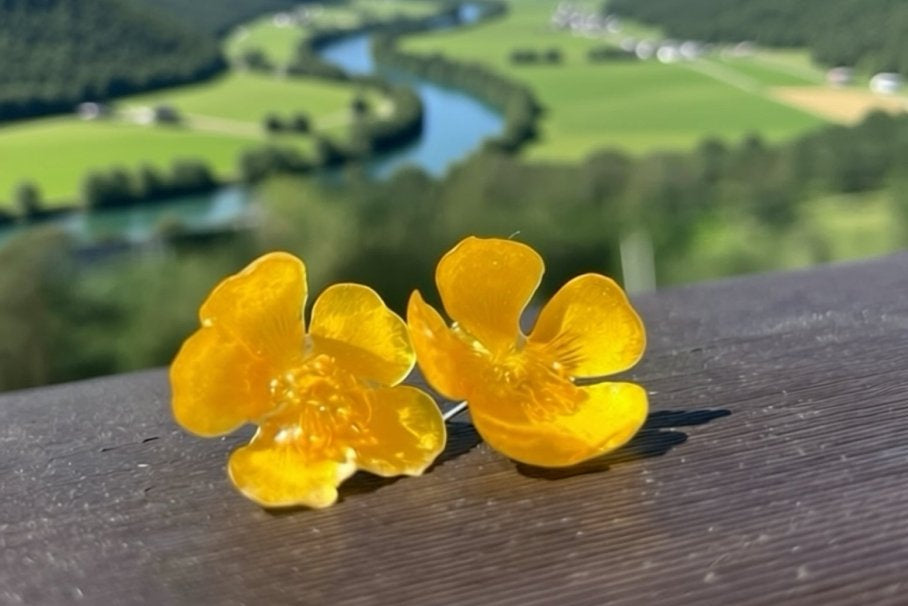 SMØRBLOMST øredobber - ekte tørkede blomster, sølv ørestift - Øredobber KNASK