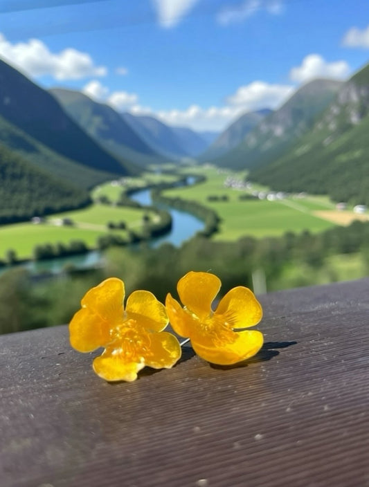 SMØRBLOMST øredobber - ekte tørkede blomster, sølv ørestift - Øredobber KNASK