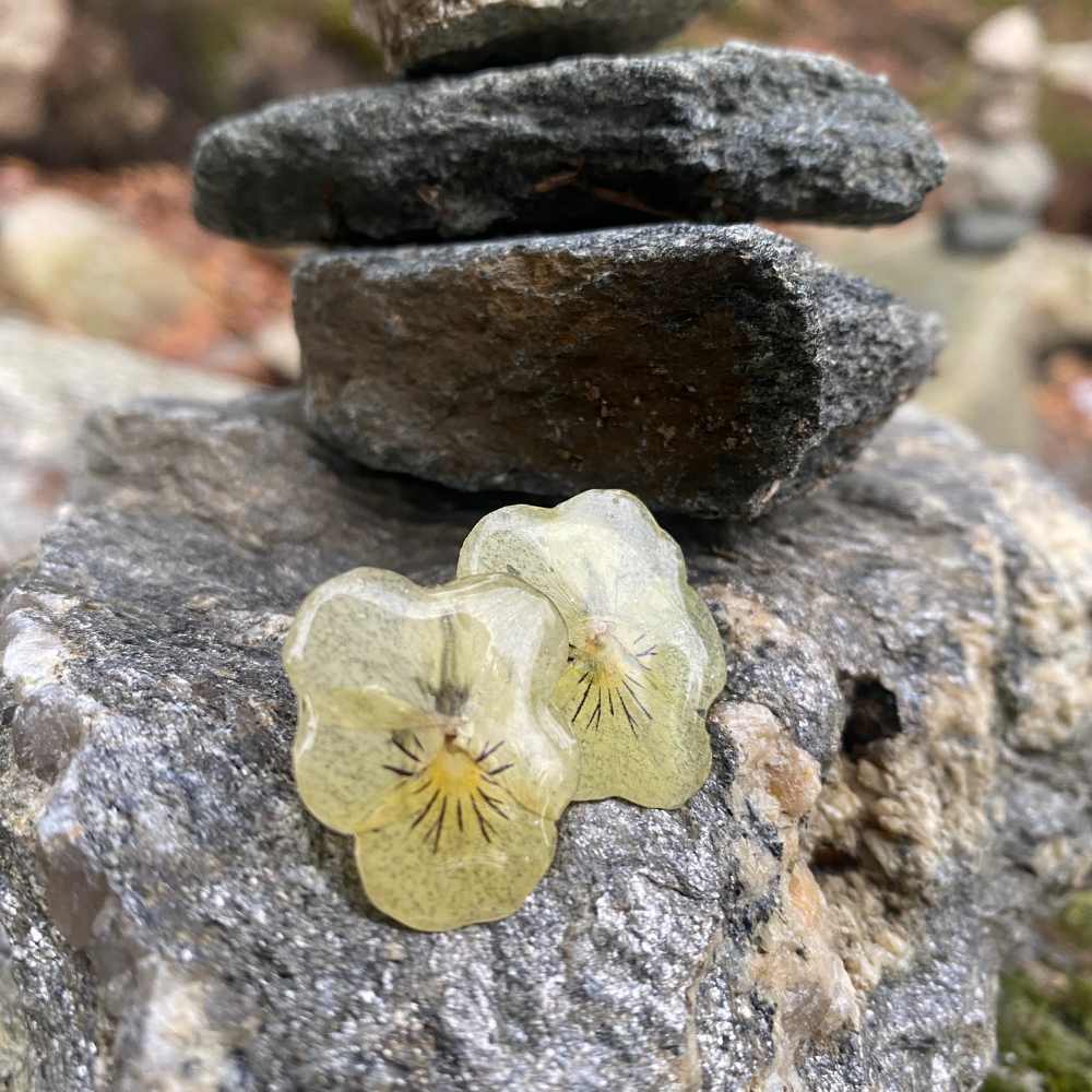 Smørgule fioler øredobber, ekte stemorsblomst, stål ørestift med lås - Øredobber KNASK