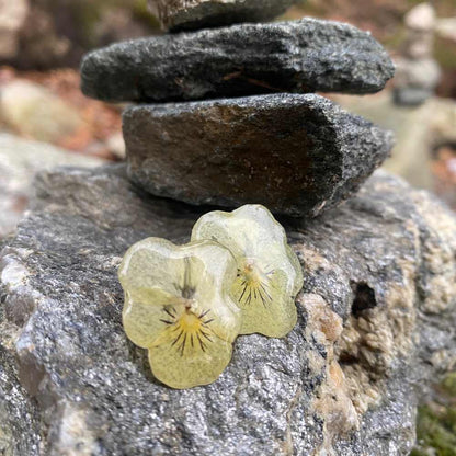 Smørgule fioler øredobber, ekte stemorsblomst, stål ørestift med lås - Øredobber KNASK