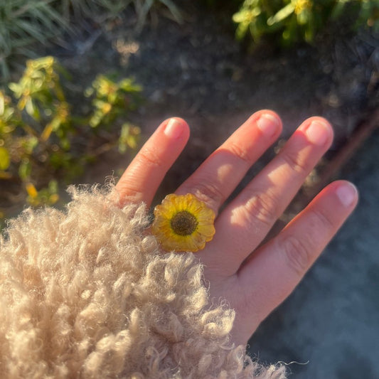 SOLLYKKE ring - ekte tørket blomst, justerbar - Ringer KNASK