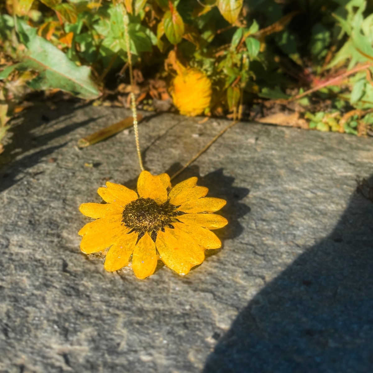 SOLSIKKE blomstersmykke av ekte tørket, 925 sølvkjede - Smykke KNASK