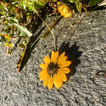 SOLSIKKE blomstersmykke av ekte tørket, 925 sølvkjede - Smykke KNASK
