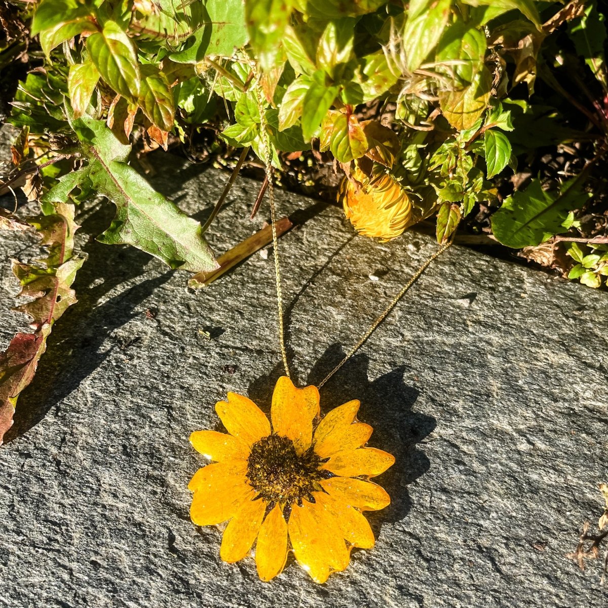 SOLSIKKE blomstersmykke av ekte tørket, 925 sølvkjede - Smykke KNASK