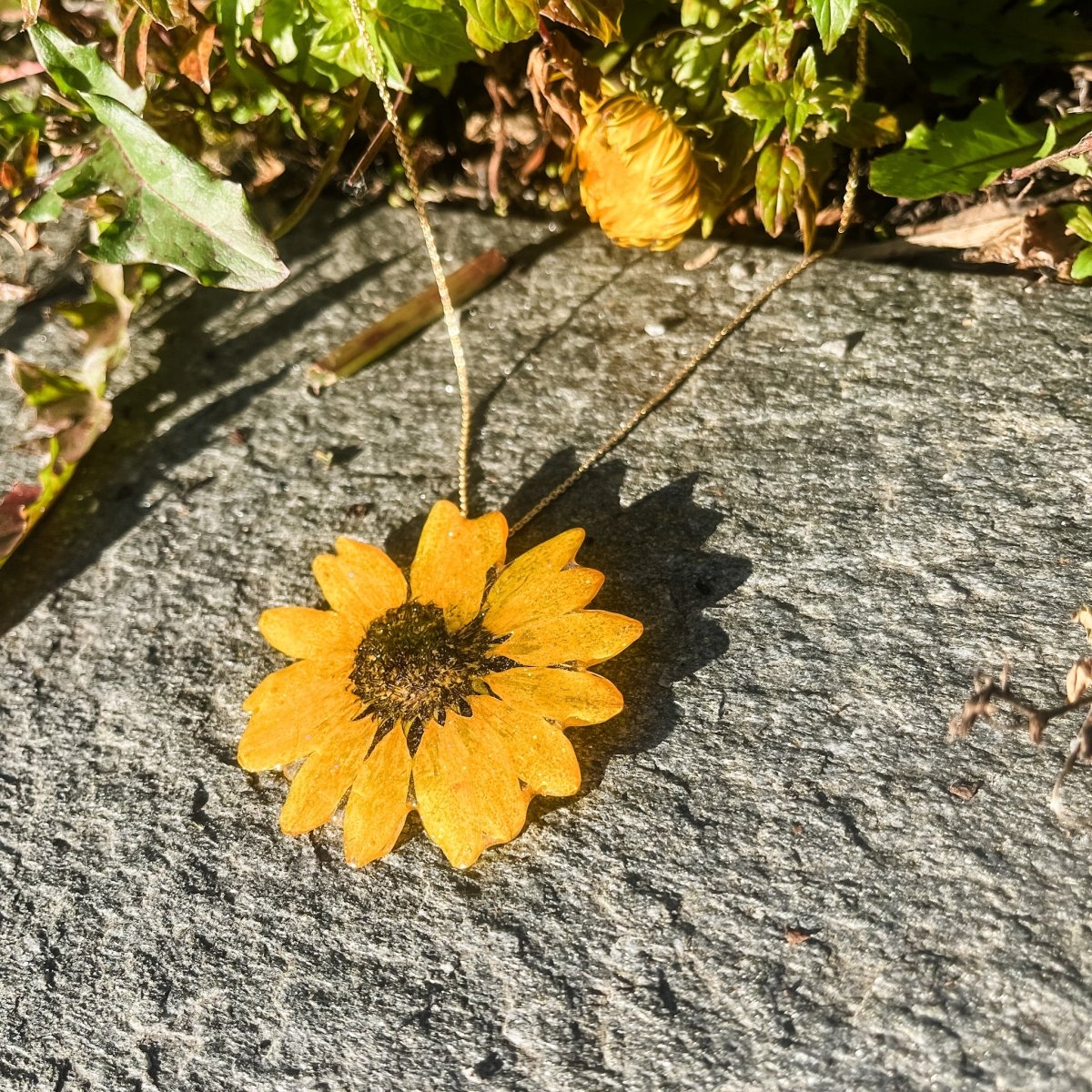 SOLSIKKE blomstersmykke av ekte tørket, 925 sølvkjede - Smykke KNASK