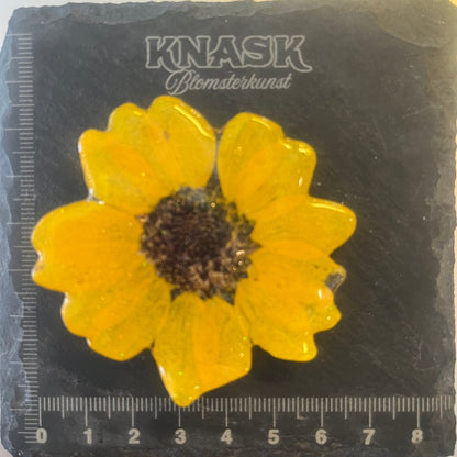 SOLSIKKE hårspenne, krokodilleklemme - Hårpynt KNASK