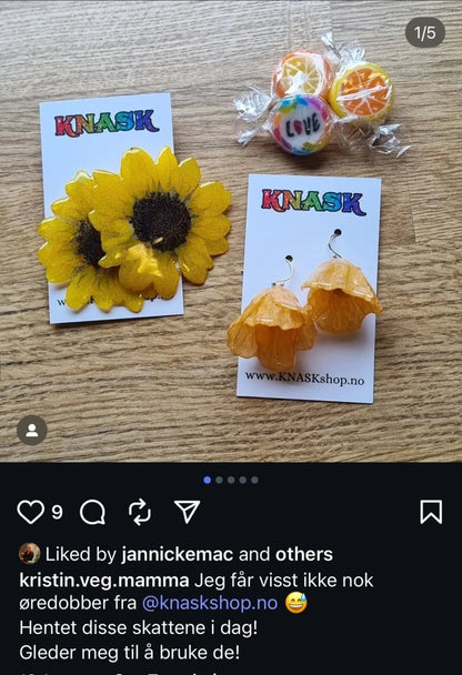 SOLSIKKER øredobber, 925 sølv ørekroker - Øredobber KNASK