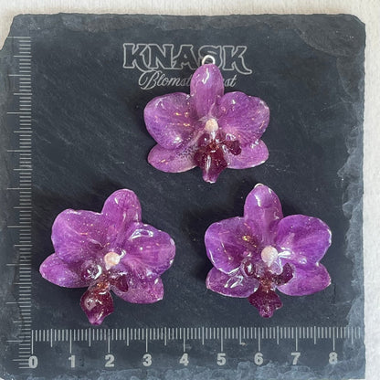 SOMMERHIT ORKIDÉ GAVESETT - ekte tørkede blomster, sølv - KNASK