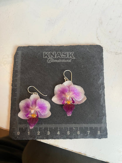 SOMMERHIT ORKIDÉ GAVESETT - ekte tørkede blomster, sølv - KNASK