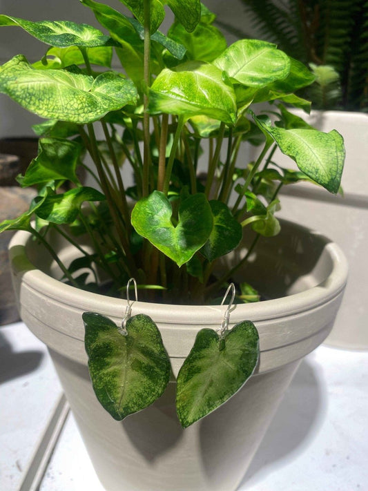 Syngonium pixie øredobber, 925 sølv planteøredobber - KNASK