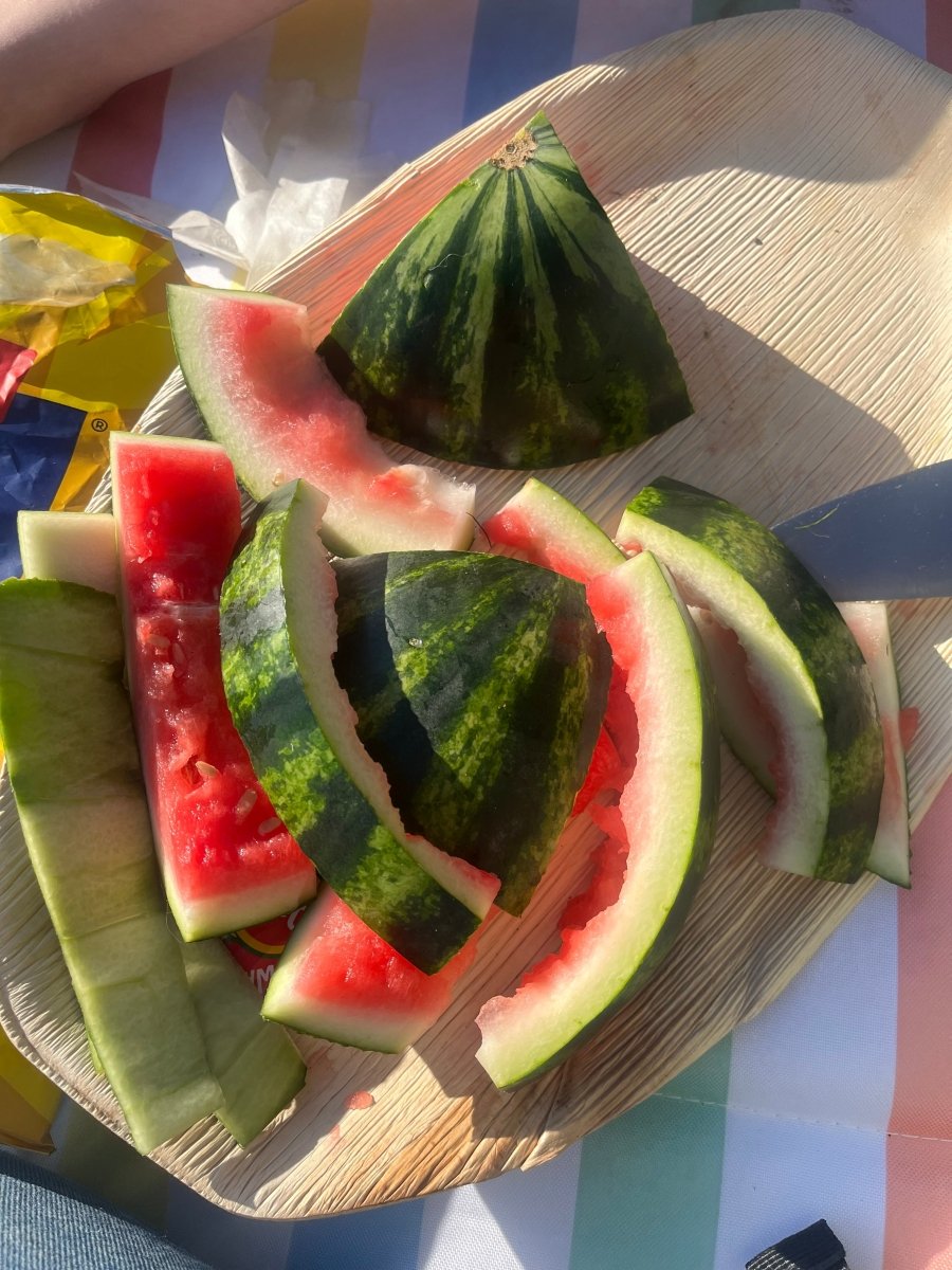 VANNMELON - SKALL - KNASK