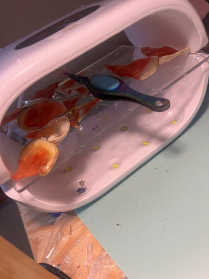 VANNMELON smykke, ekte tørket frukt, 925 sølv, FRI PALESTINA smykker 🇵🇸 - Smykke KNASK