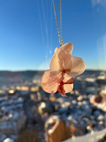 VENUS ORKIDÉ smykke - ekte tørket blomst - sølv - Smykke KNASK