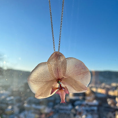 VENUS ORKIDÉ smykke - ekte tørket blomst - sølv - Smykke KNASK