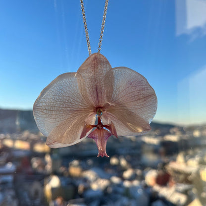 VENUS ORKIDÉ smykke - ekte tørket blomst - sølv - Smykke KNASK